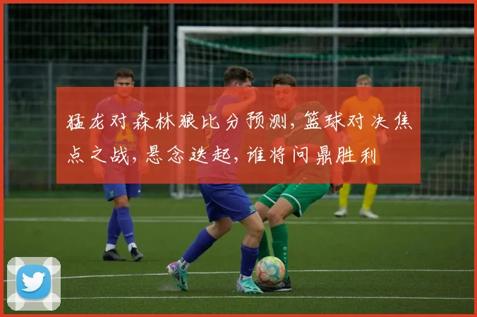 猛龙对森林狼比分预测,篮球对决焦点之战,悬念迭起,谁将问鼎胜利