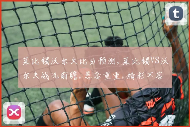 莱比锡沃尔夫比分预测,莱比锡VS沃尔夫战况前瞻,悬念重重,精彩不容错过,敬请期待